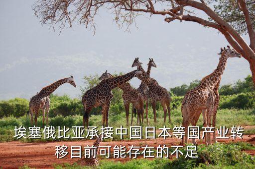  埃塞俄比亞承接中國日本等國產(chǎn)業(yè)轉(zhuǎn)移目前可能存在的不足
