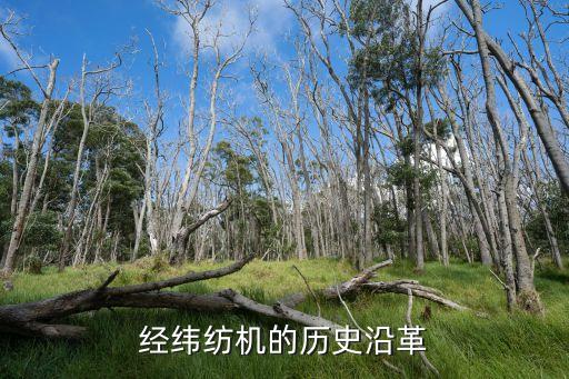 常德紡織機(jī)械廠總經(jīng)理,湖南常德紡織機(jī)械廠