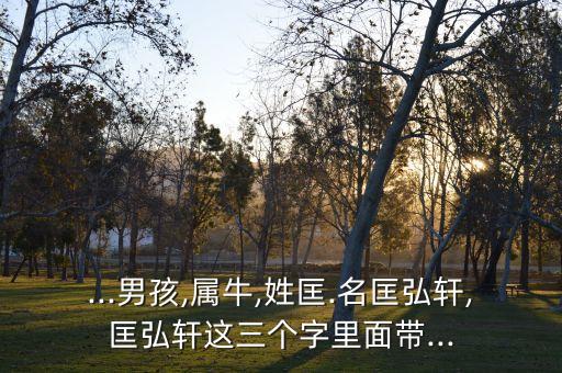 ...男孩,屬牛,姓匡.名匡弘軒,匡弘軒這三個字里面帶...