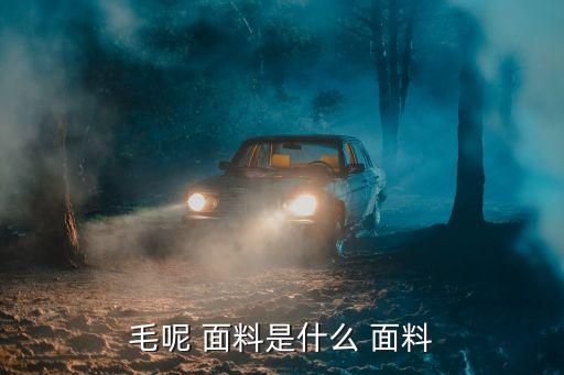 毛呢 面料是什么 面料