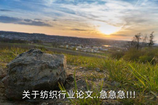 關(guān)于紡織行業(yè)論文..急急急!!!