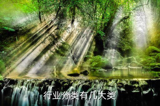 行業(yè)分類有幾大類