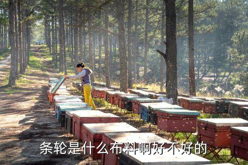 輪紡面料,洋紡是什么面料
