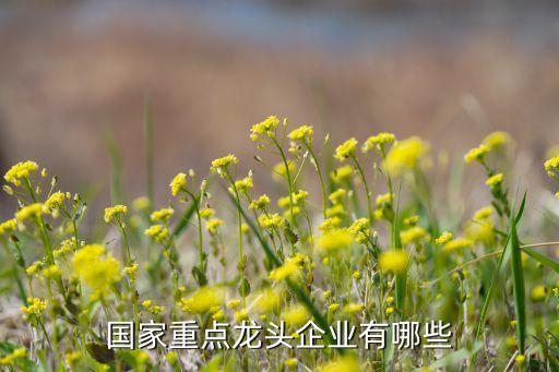 山東 紡織產(chǎn)業(yè),山東紡織產(chǎn)業(yè)的全國排名是多少