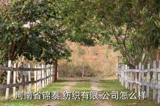  河南省錦泰 紡織有限 公司怎么樣