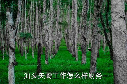 汕頭矢崎工作怎么樣財(cái)務(wù)