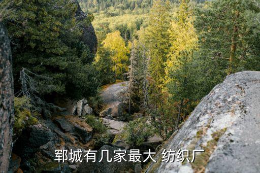 江西共青天元紡織有限公司,常州武進天元紡織有限公司