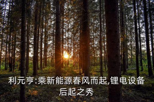 聯(lián)潤(rùn)新材料有限公司,聯(lián)泓新材料科技股份有限公司