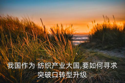 我國作為 紡織產(chǎn)業(yè)大國,要如何尋求突破口轉(zhuǎn)型升級