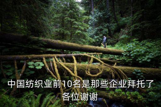 中國紡織業(yè)前10名是那些企業(yè)拜托了各位謝謝