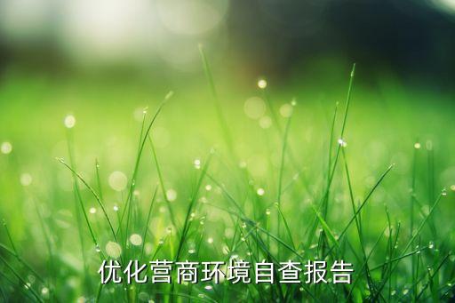 優(yōu)化營商環(huán)境自查報(bào)告