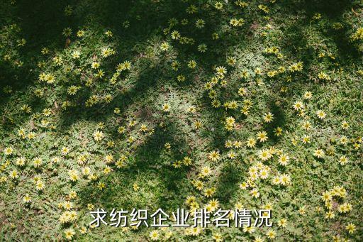 求紡織企業(yè)排名情況