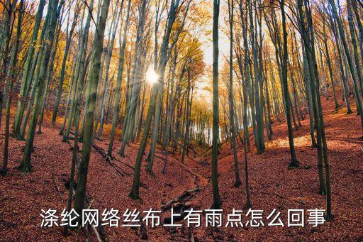  滌綸網(wǎng)絡(luò)絲布上有雨點怎么回事