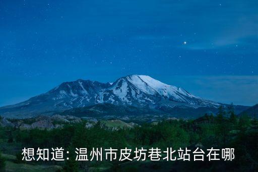 想知道: 溫州市皮坊巷北站臺在哪
