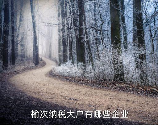 榆次經(jīng)緯紡織機械,山西榆次紡織機械有限公司