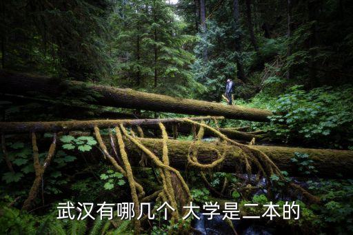  武漢有哪幾個 大學是二本的