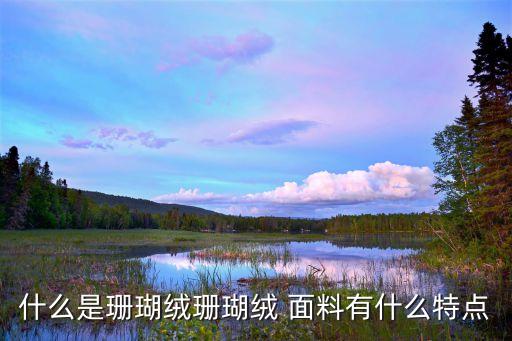 什么是珊瑚絨珊瑚絨 面料有什么特點
