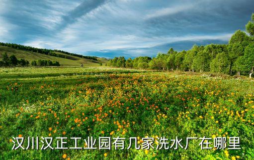 漢川漢正工業(yè)園有幾家洗水廠在哪里