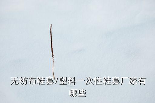  無紡布鞋套/塑料一次性鞋套廠家有哪些