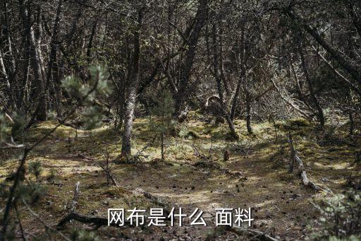 網(wǎng)布是什么 面料
