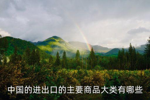 中國的進出口的主要商品大類有哪些
