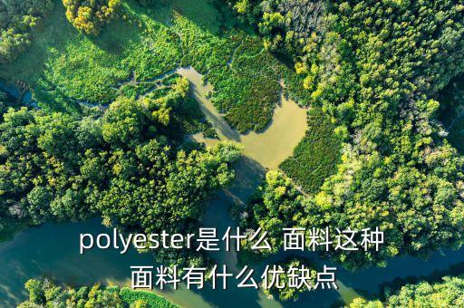 polyester是什么 面料這種 面料有什么優(yōu)缺點