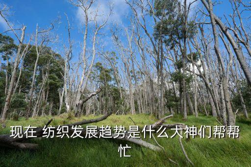 現(xiàn)在 紡織發(fā)展趨勢(shì)是什么大神們幫幫忙