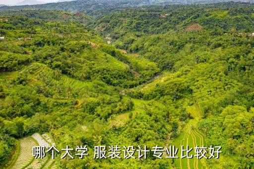 哪個(gè)大學(xué) 服裝設(shè)計(jì)專業(yè)比較好