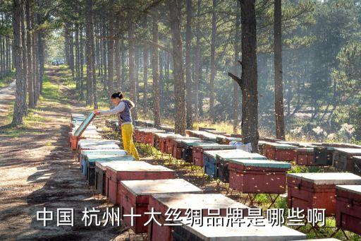 中國 杭州十大絲綢品牌是哪些啊