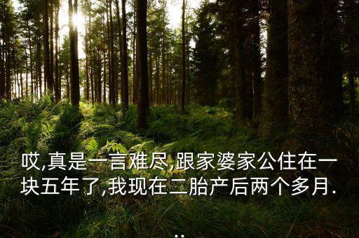 紹興桂名紡織品整理有限公司,紹興木林森紡織品有限公司