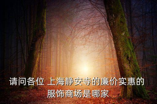 請問各位 上海靜安寺的廉價實惠的 服飾商場是哪家