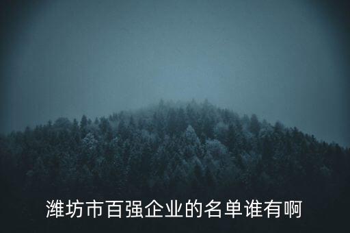 濰坊市百?gòu)?qiáng)企業(yè)的名單誰有啊