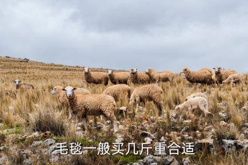  毛毯一般買(mǎi)幾斤重合適