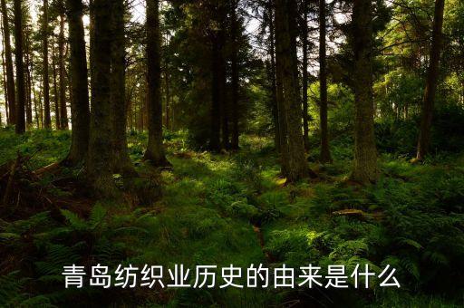 青島紡織業(yè)歷史的由來是什么