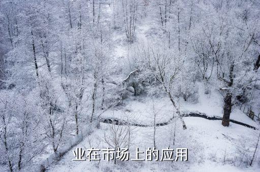 紡織業(yè)在市場(chǎng)上的應(yīng)用