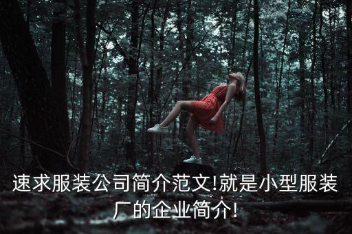 速求服裝公司簡介范文!就是小型服裝廠的企業(yè)簡介!