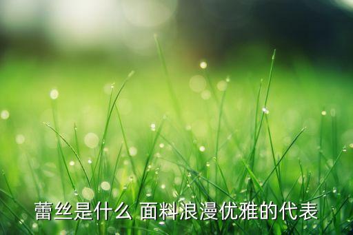 滌氨蕾絲面料 錦雕孔,錦棉蕾絲面料的優(yōu)點(diǎn)