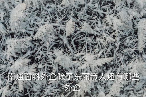  南通面料外企除了東麗帝人還有哪些外企