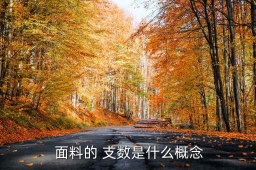  面料的 支數(shù)是什么概念