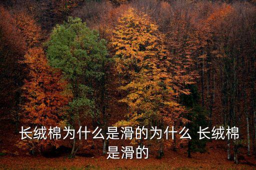  長(zhǎng)絨棉為什么是滑的為什么 長(zhǎng)絨棉是滑的