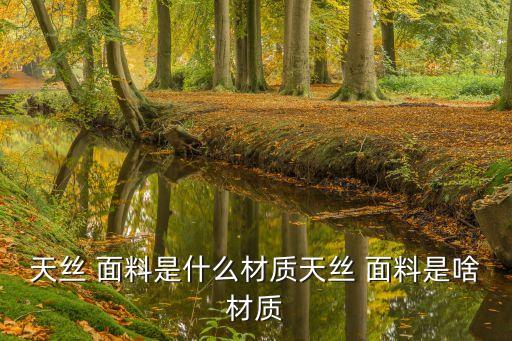天絲 面料是什么材質天絲 面料是啥材質