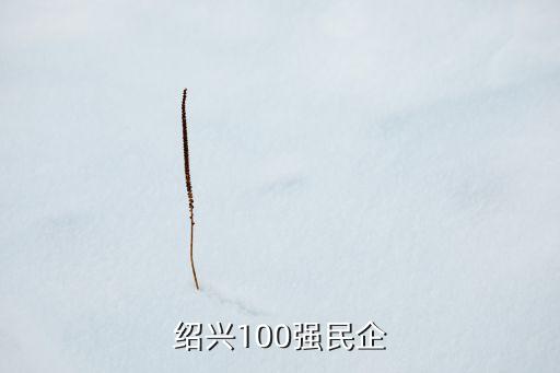 紹興100強(qiáng)民企