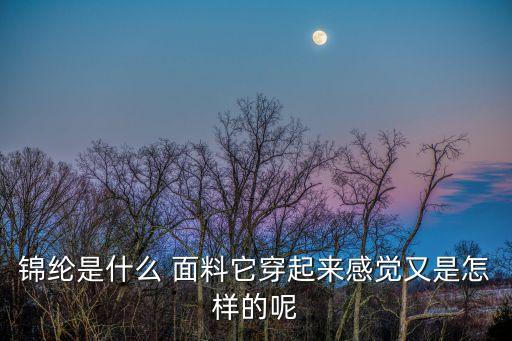 錦倫跟不倒絨面料一樣嗎