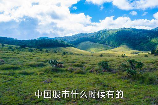 中國(guó)股市什么時(shí)候有的