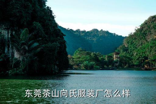 東莞茶山向氏服裝廠怎么樣