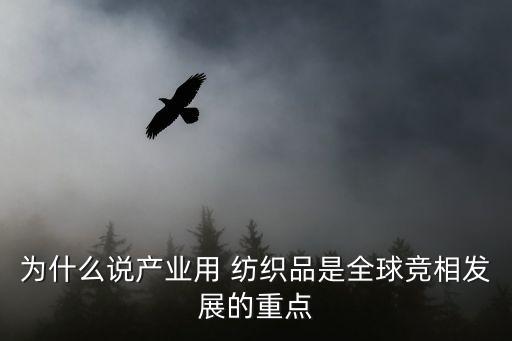 為什么說產(chǎn)業(yè)用 紡織品是全球競(jìng)相發(fā)展的重點(diǎn)