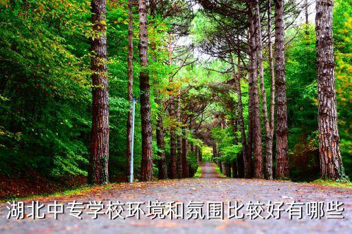 湖北中專學(xué)校環(huán)境和氛圍比較好有哪些