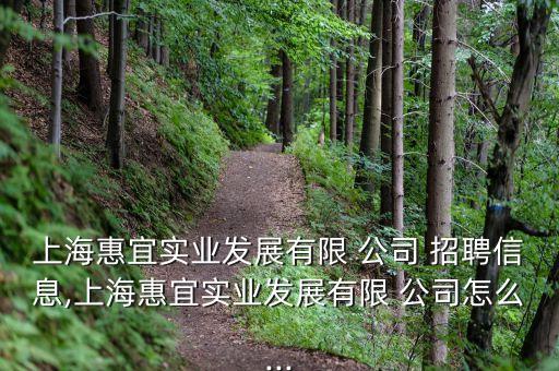 上?；菀藢?shí)業(yè)發(fā)展有限 公司 招聘信息,上?；菀藢?shí)業(yè)發(fā)展有限 公司怎么...