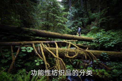  功能性紡織品的分類