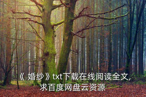 《 婚紗》txt下載在線閱讀全文,求百度網(wǎng)盤云資源